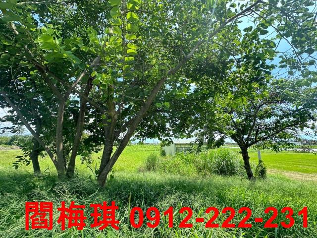 台南永康農地-2