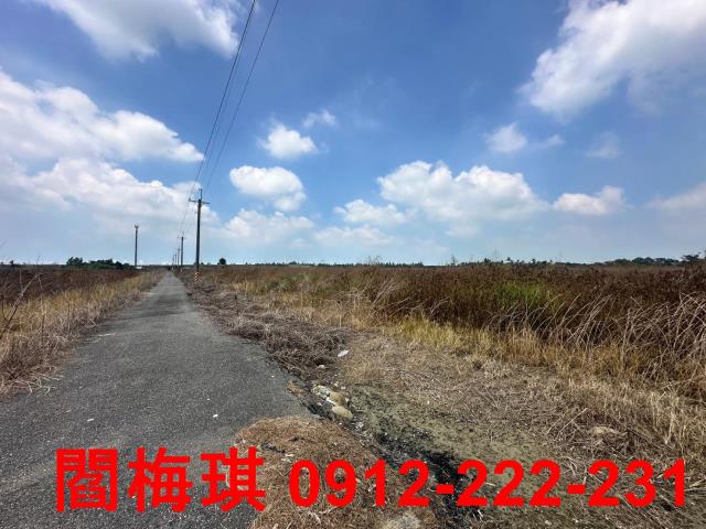 台南農地-5