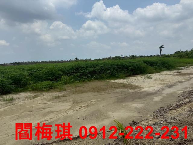 台南農地-2
