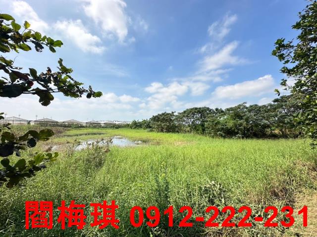 新市農地-10
