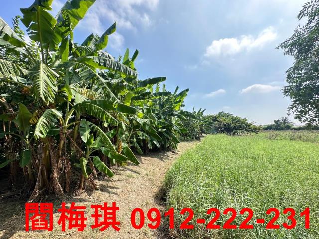 新市農地-1