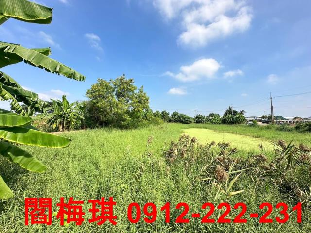 新市農地-3