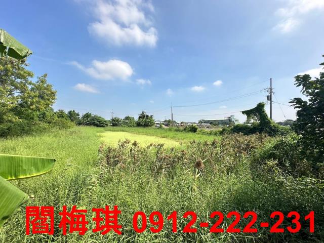 新市農地-4