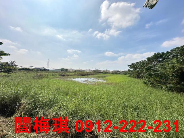 新市農地-5
