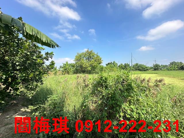 新市農地-6