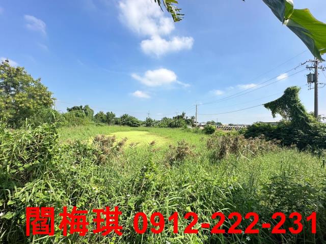 新市農地-7