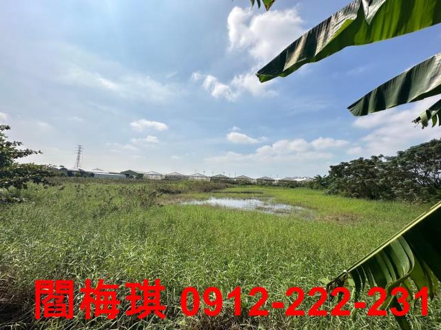 新市農地-8