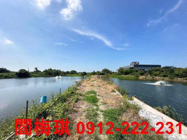 安南農地-4