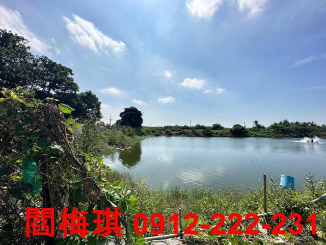 安南農地-6