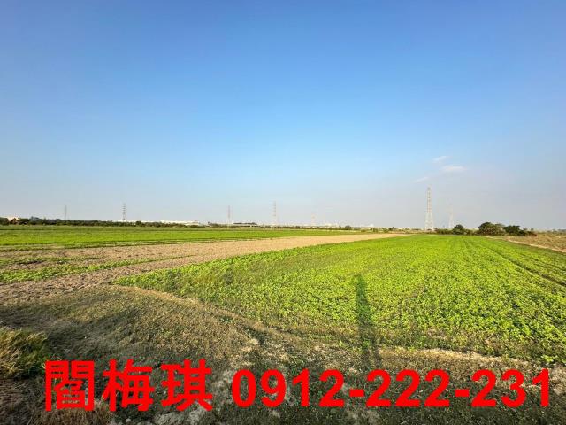 台南新市農地-1