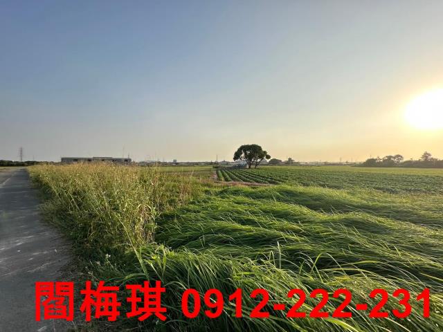 台南新市農地-4