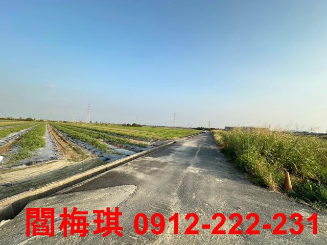 台南新市農地-5