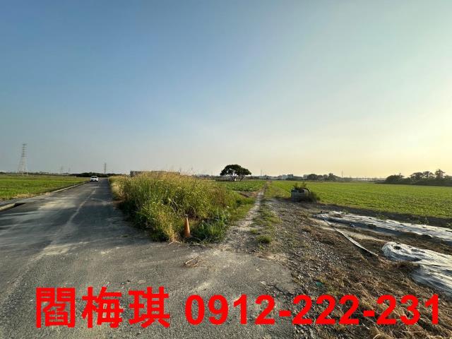 台南新市農地-6