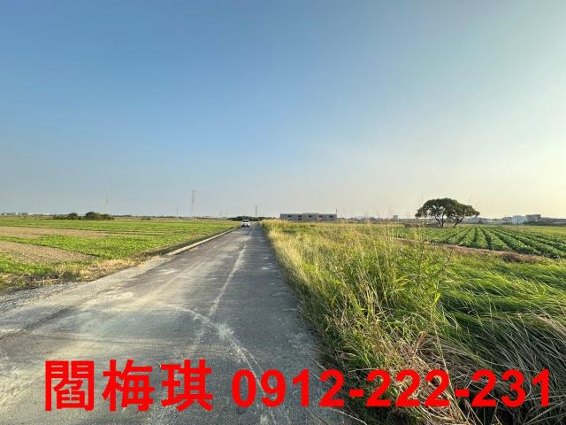 台南新市農地-7
