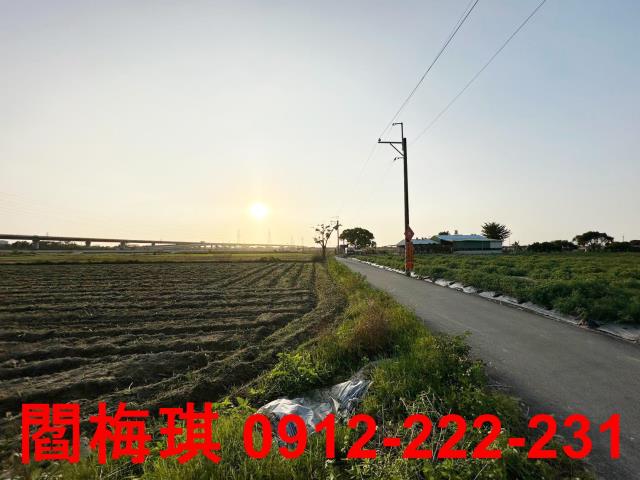 新市農地-9