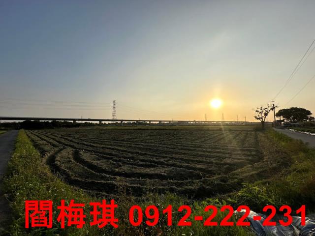 新市農地-10