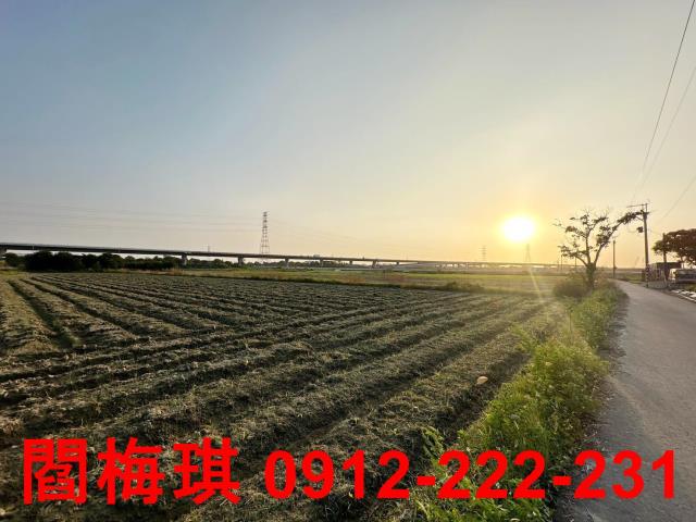 新市農地-2