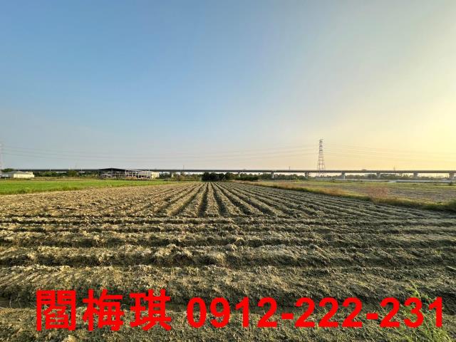 新市農地-3