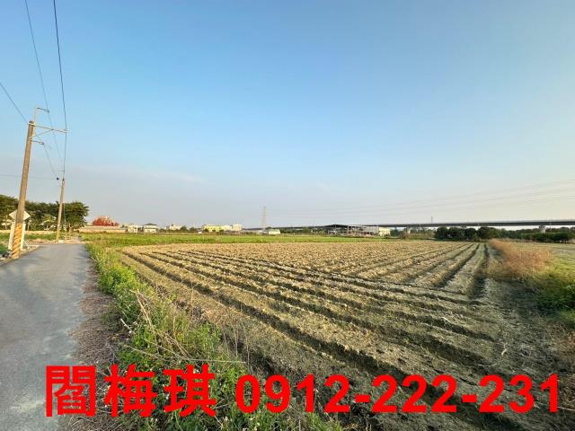 新市農地-4