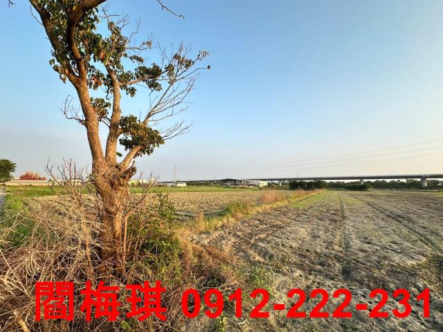 新市農地-6