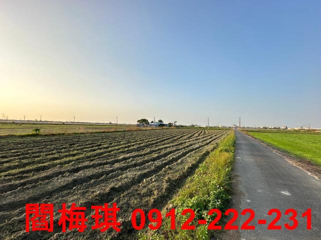 新市農地-8