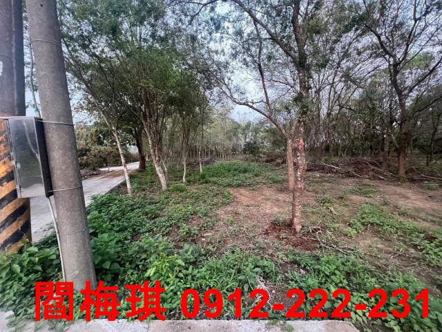 台南玉井農地-2