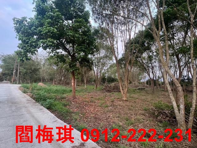 台南玉井農地-3