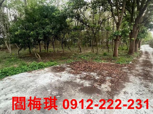 台南玉井農地-6