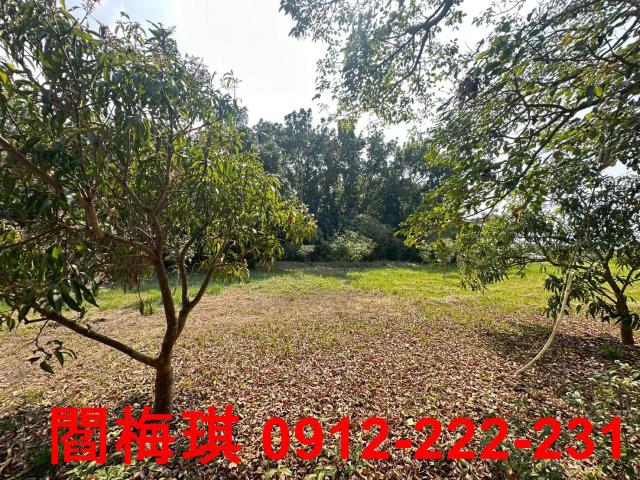 台南楠西農地-1