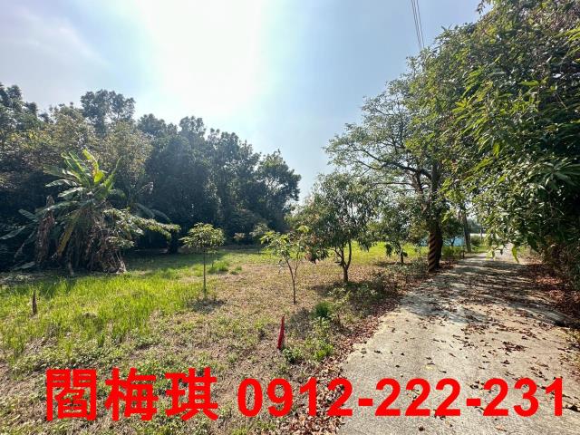 台南楠西農地-7