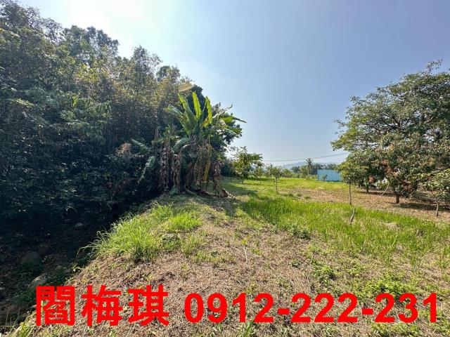 台南楠西農地-2