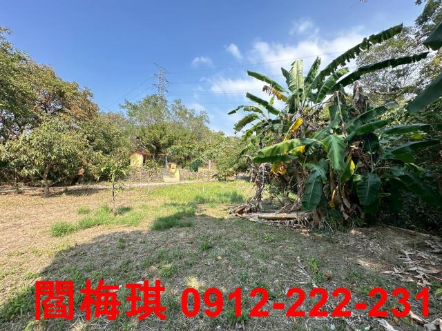 台南楠西農地-3