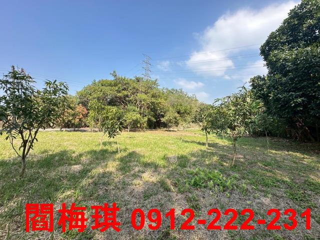 台南楠西農地-4