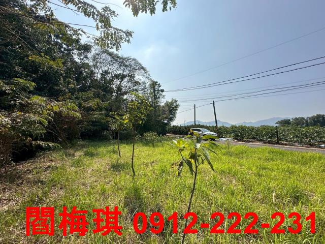 台南楠西農地-5