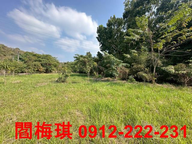 台南楠西農地-6